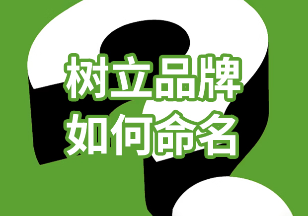 品牌獨(dú)角獸：樹立品牌如何命名，引爆市場熱潮