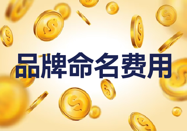國內(nèi)外品牌命名費(fèi)用是多少？