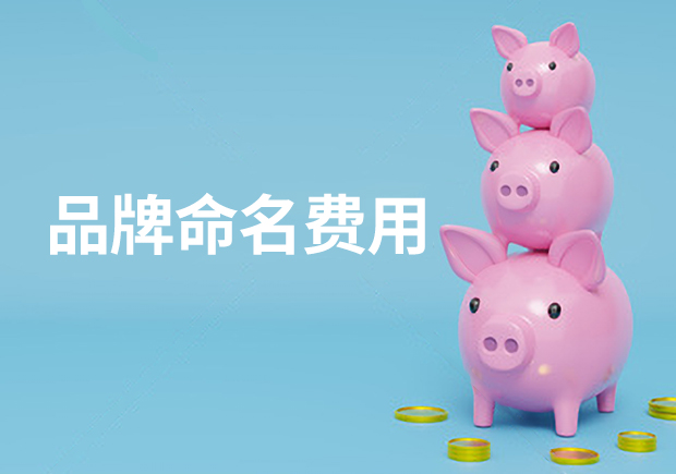 品牌命名費(fèi)用-品牌起名多少錢合適？