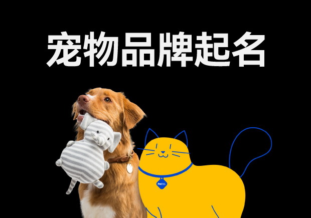 寵物品牌起名怎么?。汉妹质莿?chuàng)意與市場(chǎng)的完美融合