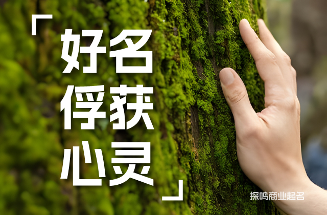 童裝品牌與商標的起名是一項需要綜合考慮獨特性、內(nèi)容豐富性等多方面因素的任務(wù).jpeg